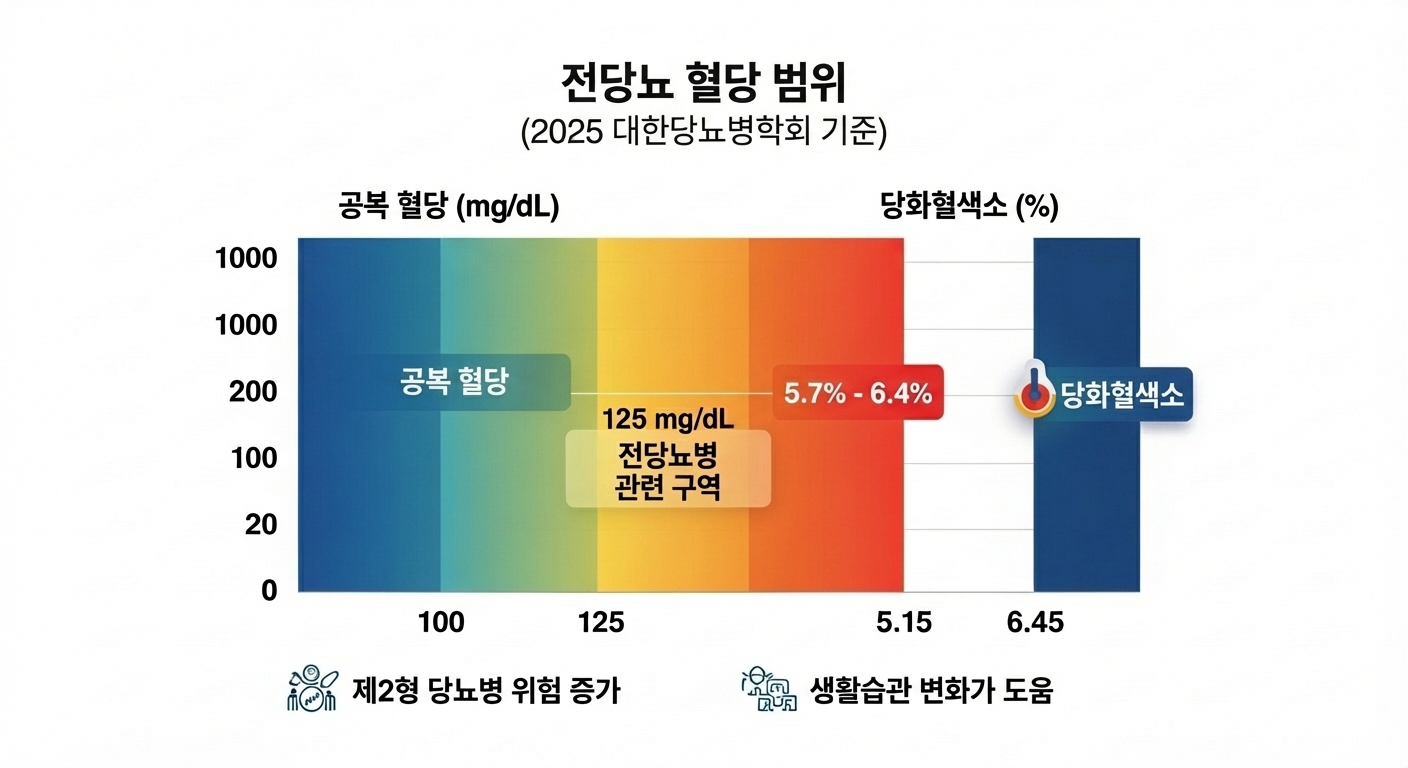 2025년 대한당뇨병학회 기준 당뇨 전단계 혈당 수치 인포그래픽